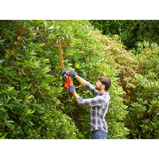 BLACKDECKER BEHT251KIT hedge trimmer used outdoors for trimming tall green bushes.